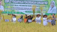 POTENSI PERTANIAN KAMPAR UNTUK MENUNJANG PEREKONOMIAN (sumbergambar:distantph.kabupaten kampar)