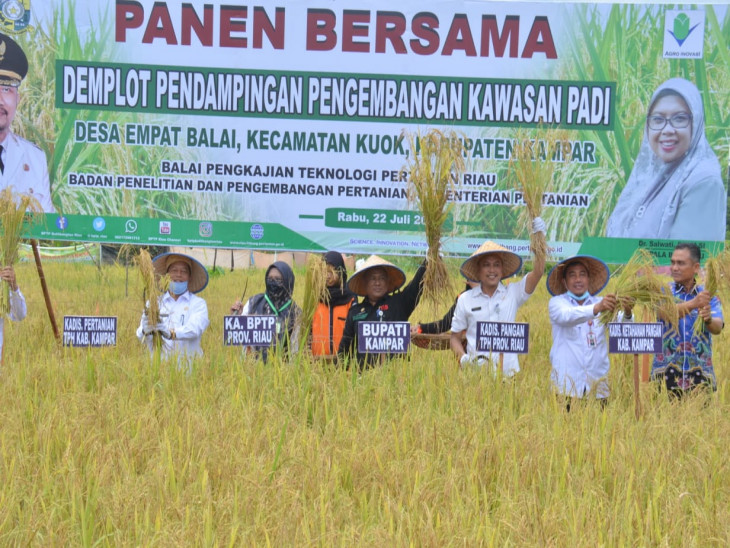 POTENSI PERTANIAN KAMPAR UNTUK MENUNJANG PEREKONOMIAN (sumbergambar:distantph.kabupaten kampar)